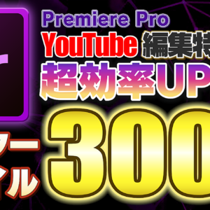 Premiere Pro マスタースタイル300種類!!テロップデザイン超効率UP　レビュー