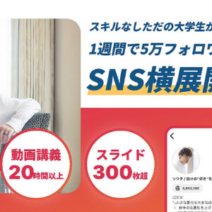 総文字数21万文字・動画講義20時間越え｜ただの大学生がたった7日間でフォロワー増やしたインスタ運用の全ノウハウとSNS横展開戦略【Instagram×TikTok×YouTube最速攻略】　レビュー
