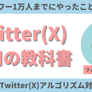 【成長速度３倍】Twitter(X)運用方法｜フォロワー1万人までにやったことを全公開！最新アルゴリズムにも対応　レビュー
